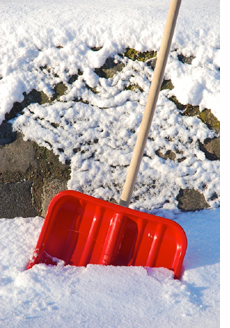 shovel inside